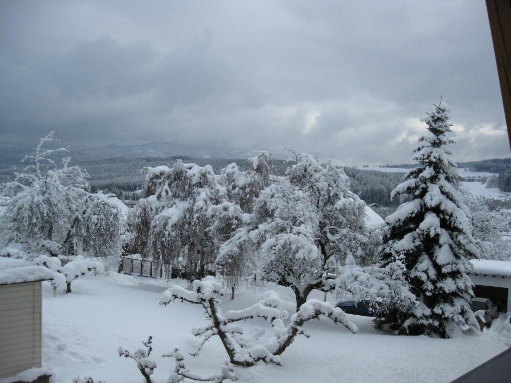 Gaestehaus Steininger ซวีเซิล ห้อง รูปภาพ